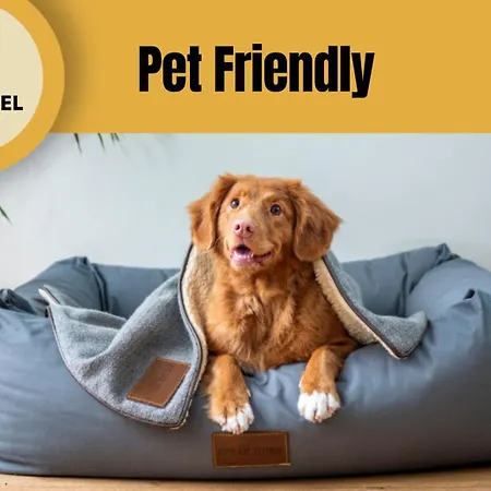 Staynfeel 03 Apartamento Fátima